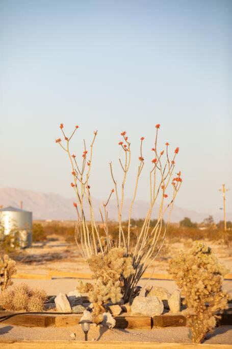 Sun Runner - Serene Desert Home W/Pool & Hot Tub Twentynine Palms Exterior photo